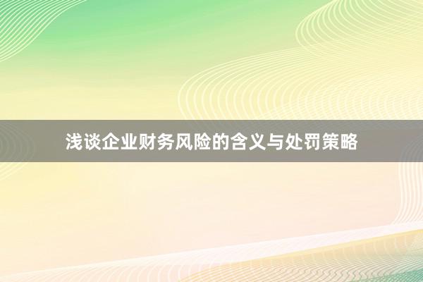 浅谈企业财务风险的含义与处罚策略